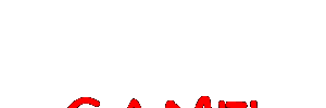 camelnatpis.gif (10644 bytes)