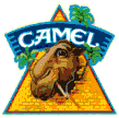 camilalogo1.gif (24343 bytes)